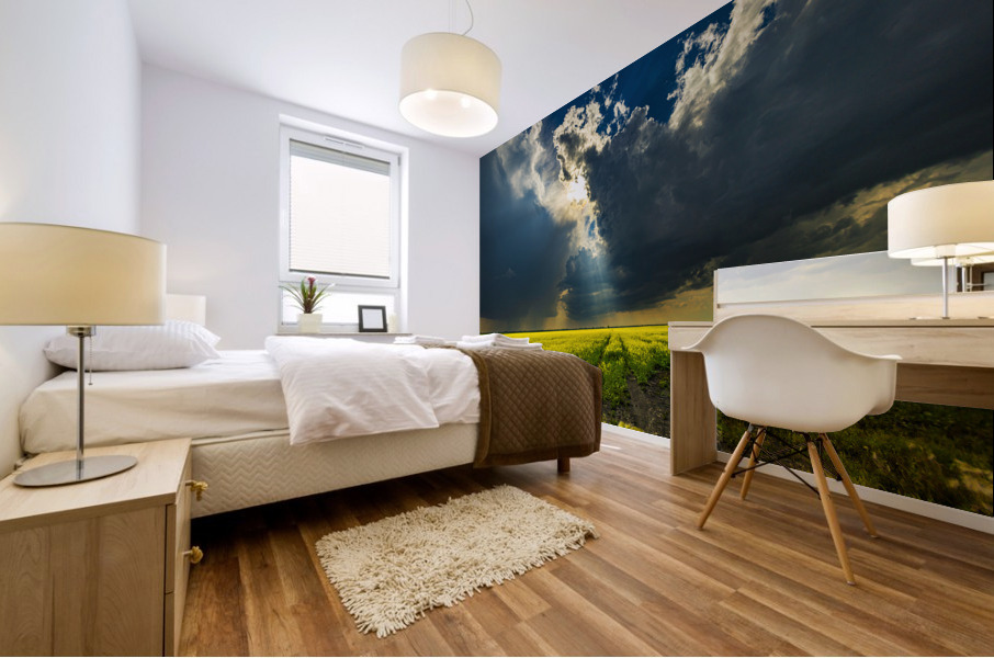 Heavens Ray Mural print