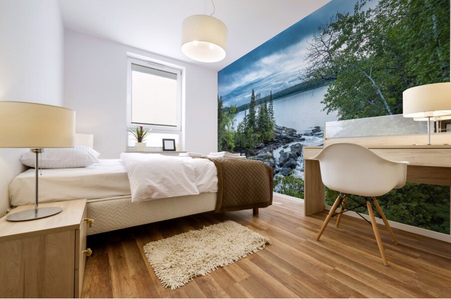 Tulabi Falls on a Cloudy Day Mural print