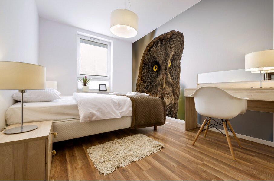 Owl Mural print