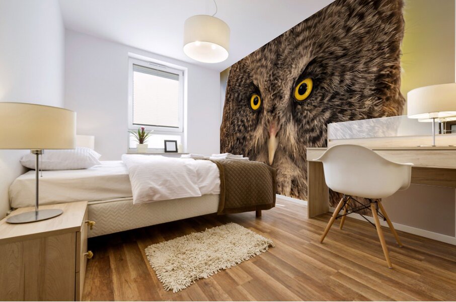 Owls Gaze Mural print