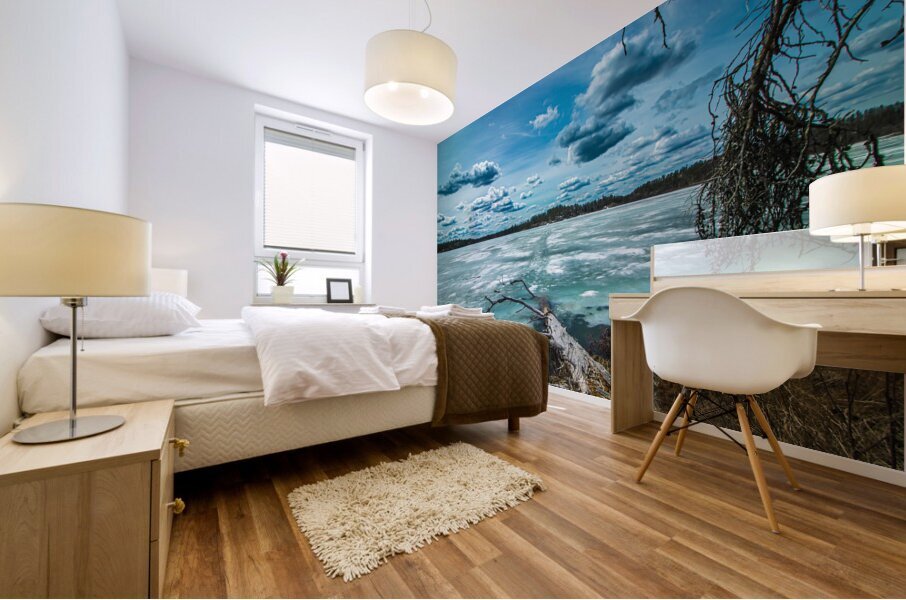 McGillivray Lake Mural print