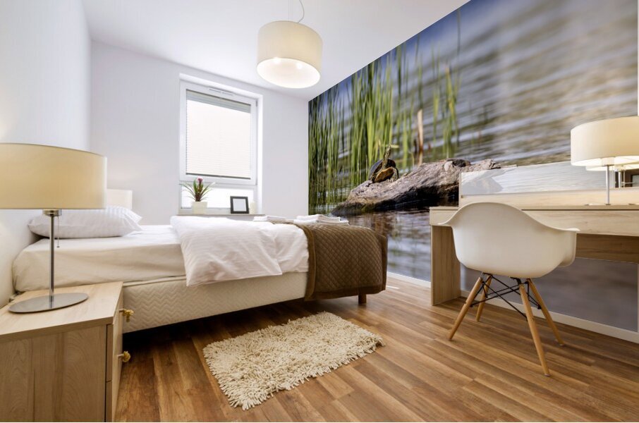 Painted Turtle Mural print