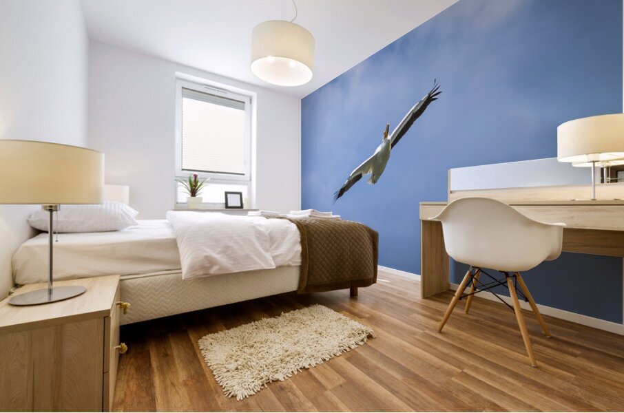 Pelican Mural print