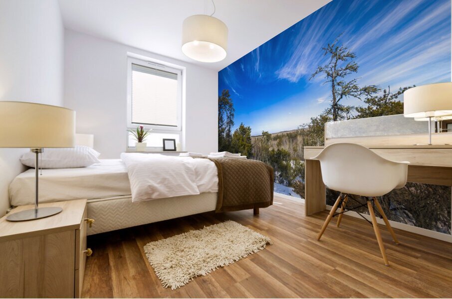 Pine Point Rapids Mural print