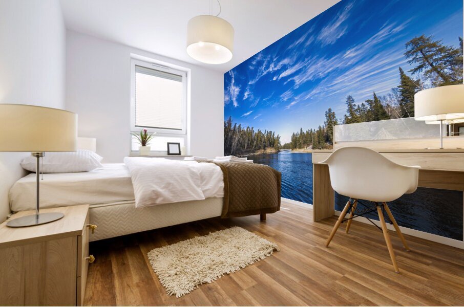 Pine Point Rapids Mural print