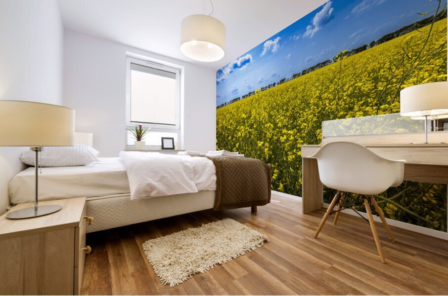 Canola Field Mural print