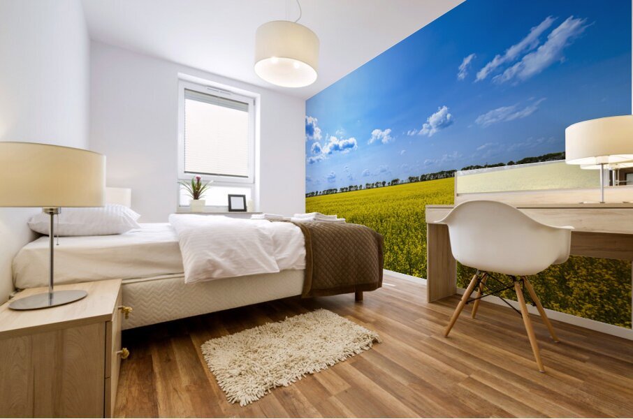 Canola Field Mural print