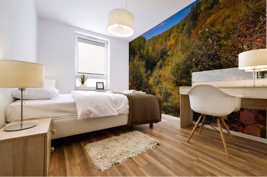 Pembina Valley Mural print