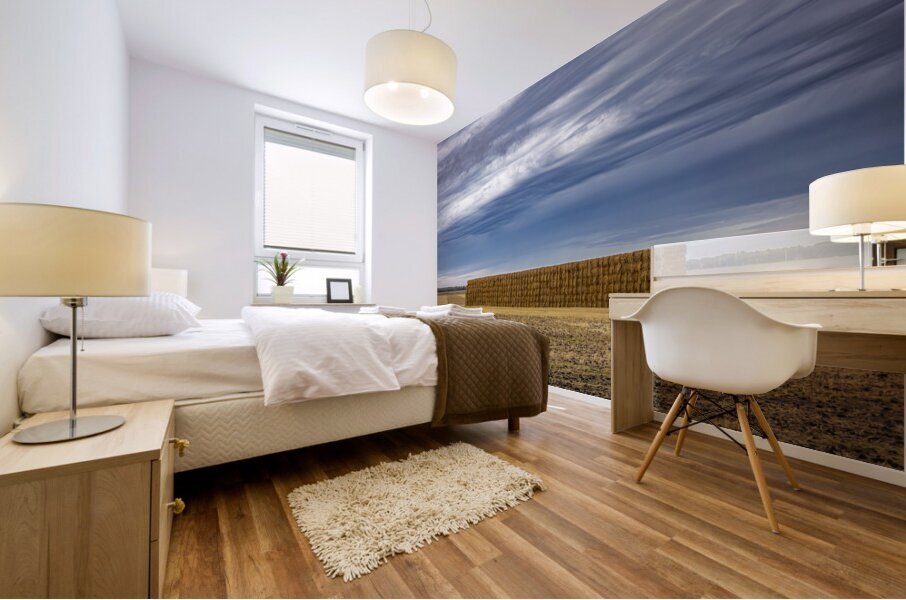 Hay Wall Mural print