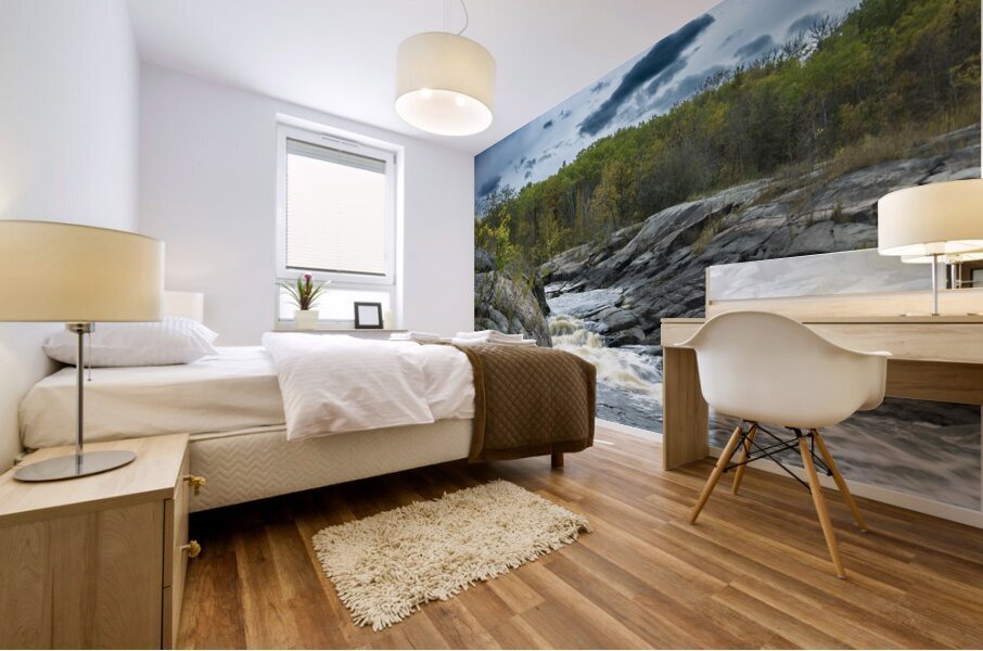 By the Falls Mural print