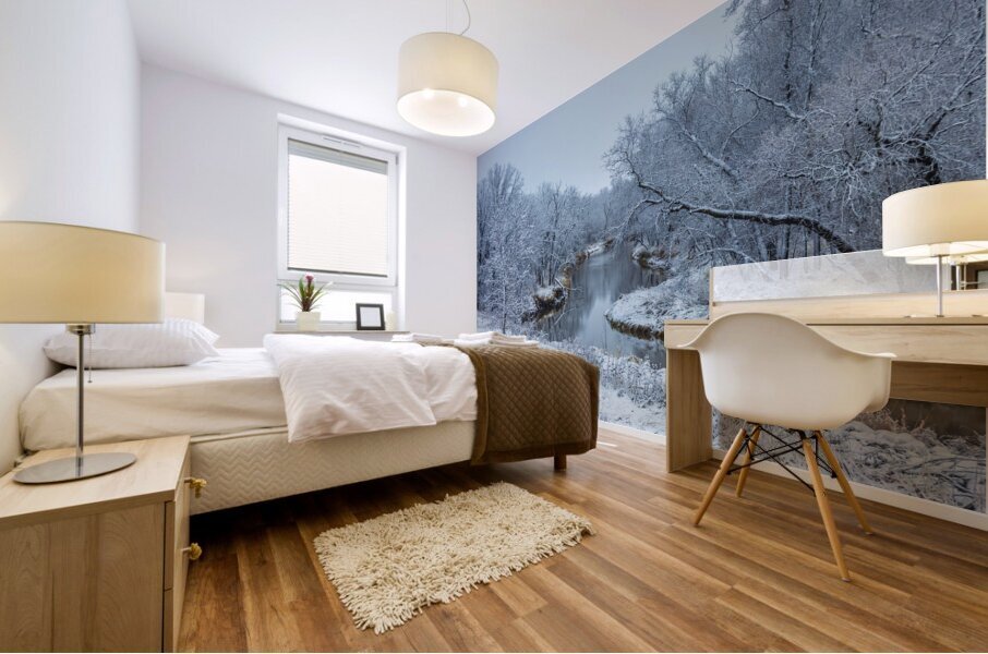 Freezing River Mural print