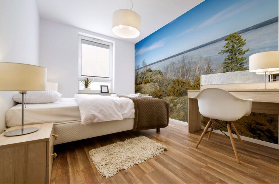 Dragon Fire Trail Mural print