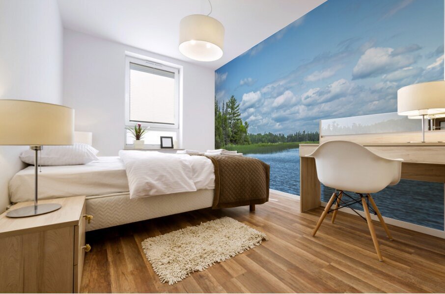 Lake of the Woods View Mural print