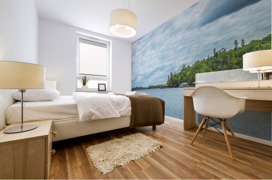 Lake of the Woods View Mural print