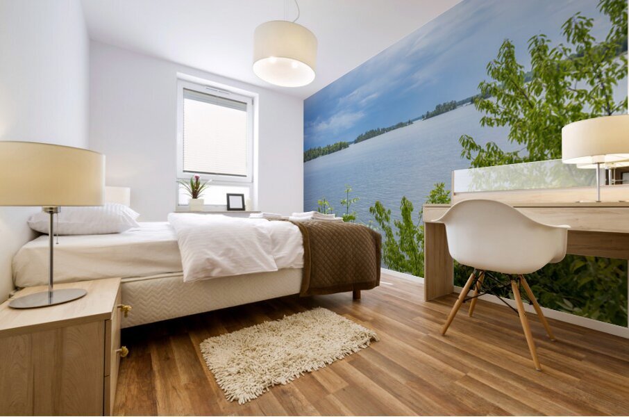 Lake of the Woods View Mural print