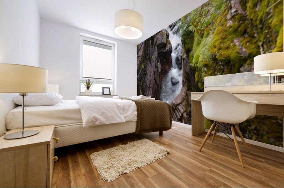 Red Rock Canyon Mural print