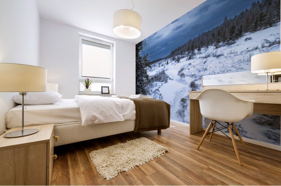 Boreal Stillness Mural print