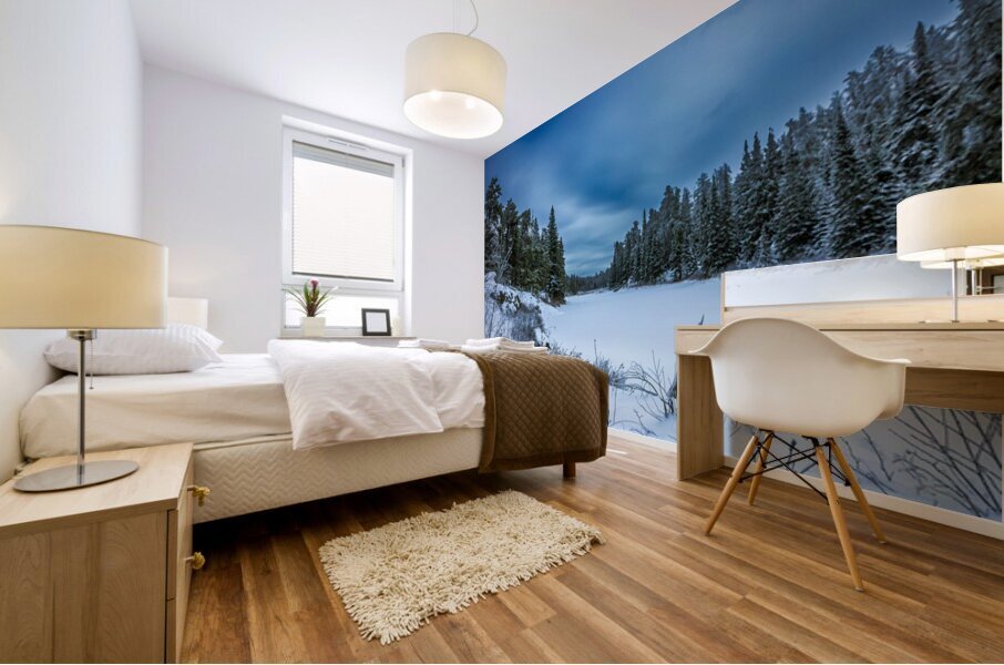 Frozen River Bend Mural print