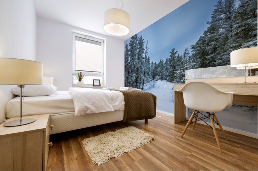 Winter on Hanson Creek Trail Mural print