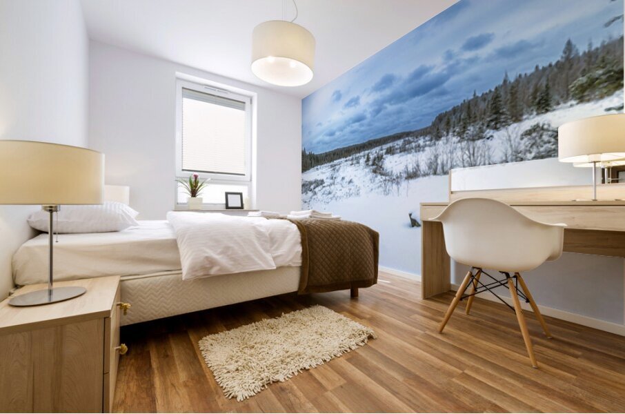 Winter Expanse Mural print