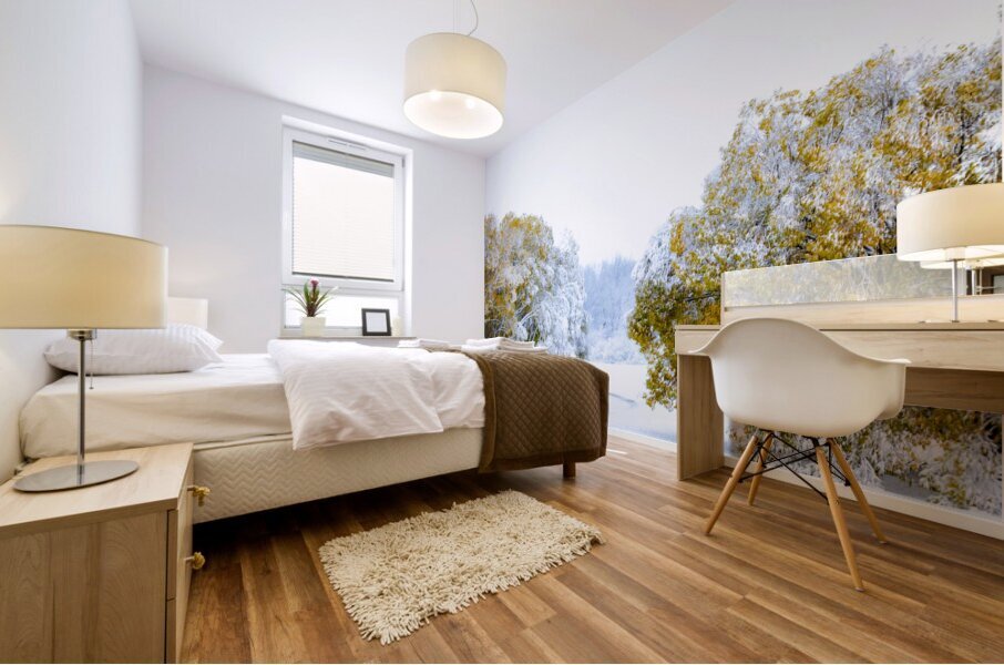 A Path Under the First Snow Mural print