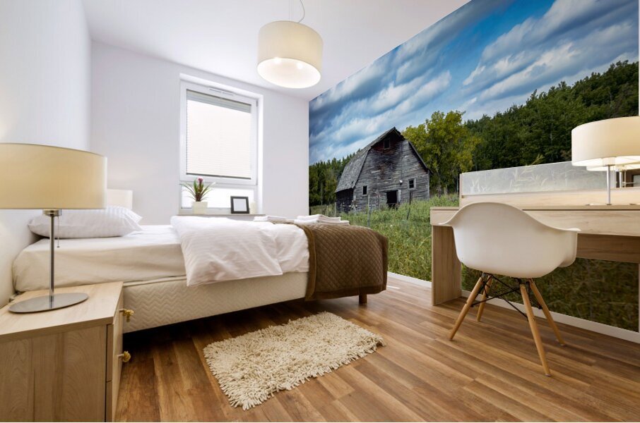 Old Barn on a Cloudy Day Mural print