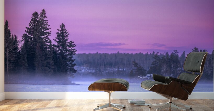 Fog Rising Over Falcon Lake Wall Murals