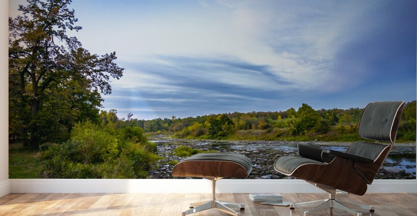 Riverbed Wall Murals