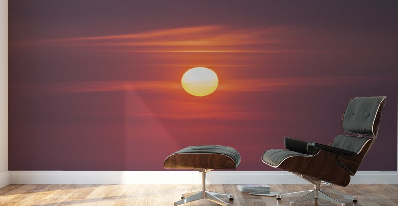 Red Wine Sunset Wall Murals
