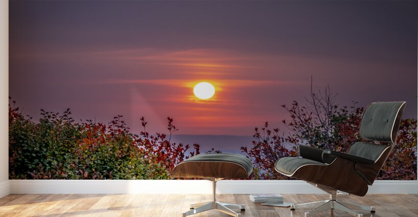 Red Sunset Wall Murals