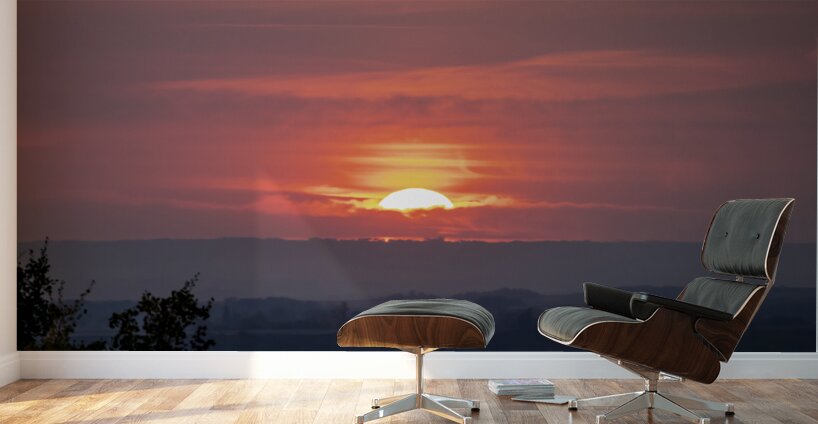 Red Wine Sunset Wall Murals