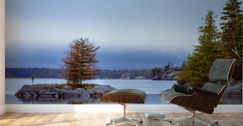 Tree on a Shoal Wall Murals