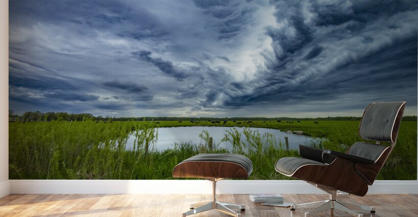 Pasture Under Storm Clouds Wall Murals