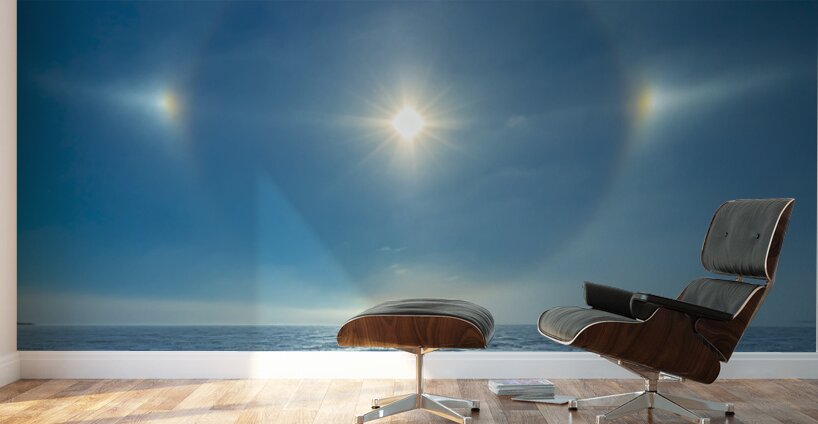 Sundog on Ice Wall Murals