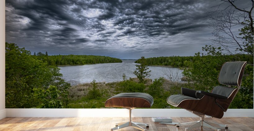 Shoal Lake View Wall Murals