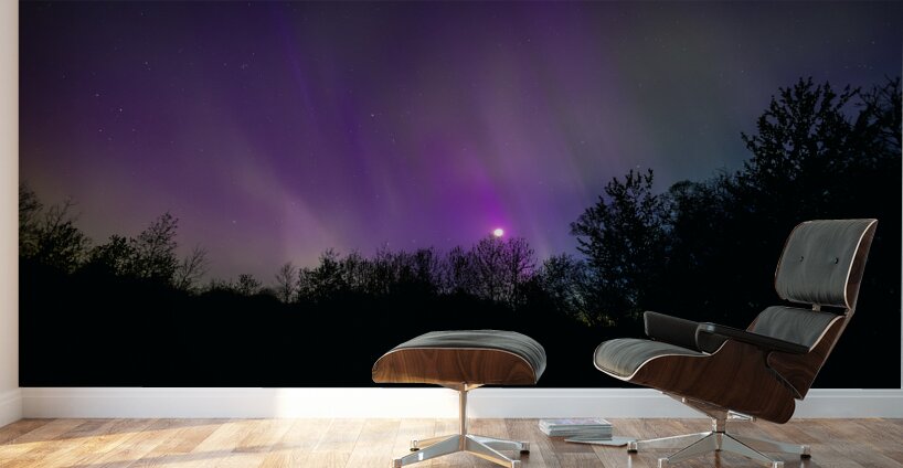 Aurora and Moonlight over the Canopy Wall Murals
