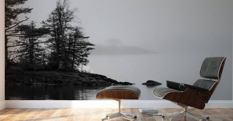 Fog on the Lake Wall Murals