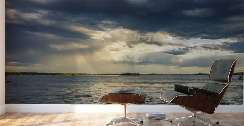 Rain on the Lake Wall Murals