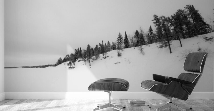 Bear Lake Wall Murals