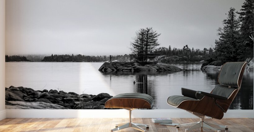 Stillness Wall Murals