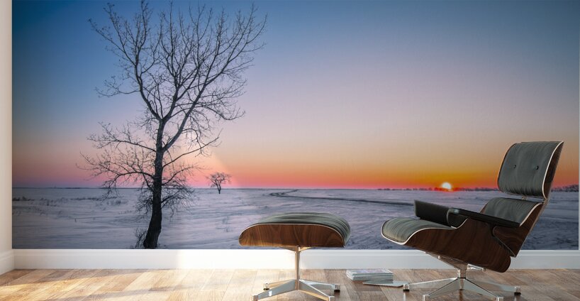 Lone Tree at Sunrise Wall Murals