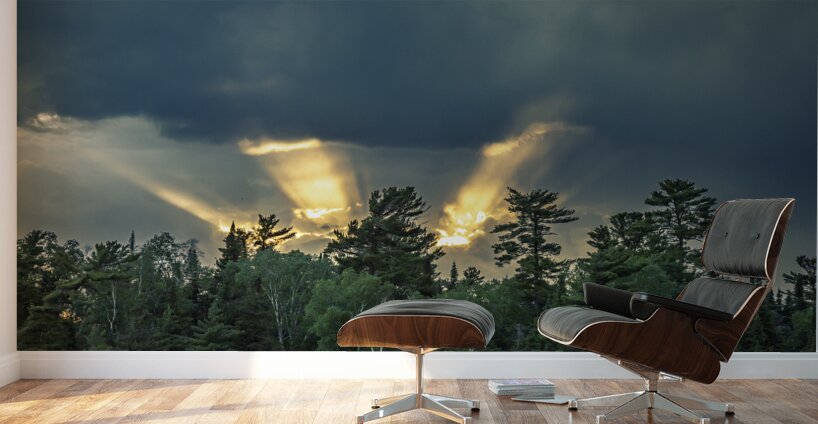 Heavens Light Wall Murals