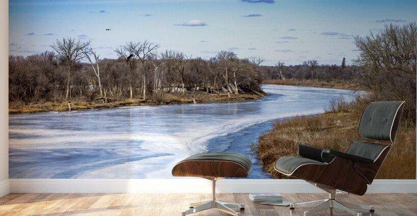 Ice Melt on the Red River Wall Murals