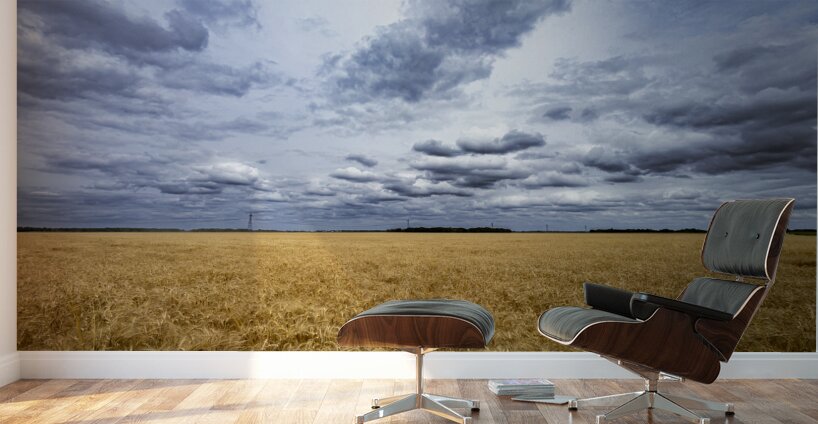 Ripe For Harvest Wall Murals