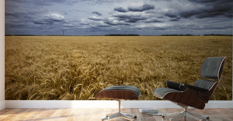 Ripe For Harvest Wall Murals