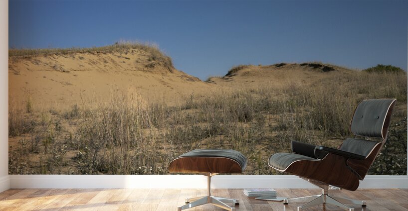 Spruce Woods Wall Murals