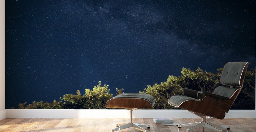 Starry Night Wall Murals