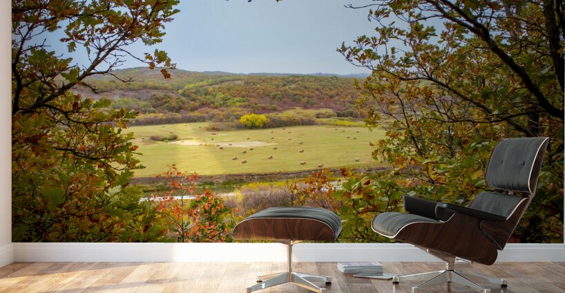 Pembina Valley Wall Murals