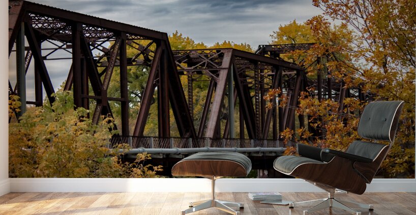 Emerson Train Bridge Wall Murals