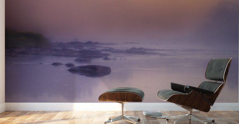 Foggy Sunrise on the Roseau River Wall Murals